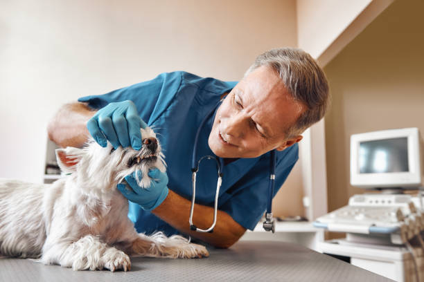 Dentist for Dental Trauma in IN